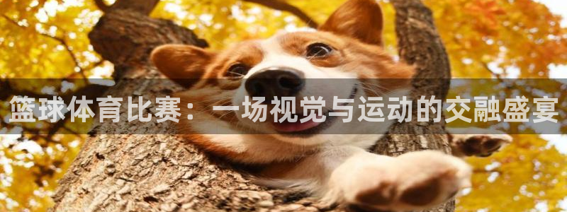 沐鸣2首页登录