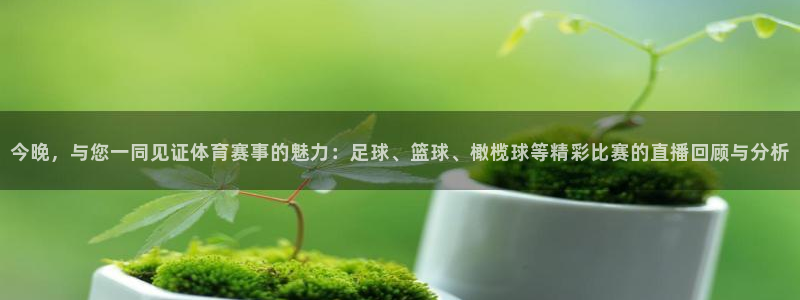 沐鸣24平台