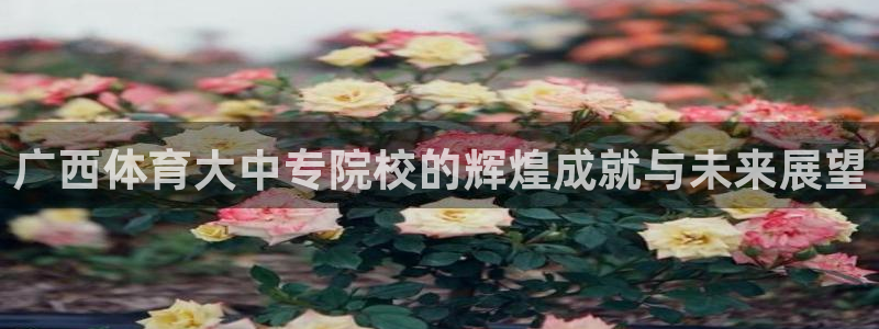 沐鸣2体育注册代理