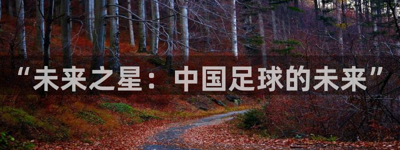 沐鸣2在线登录注册