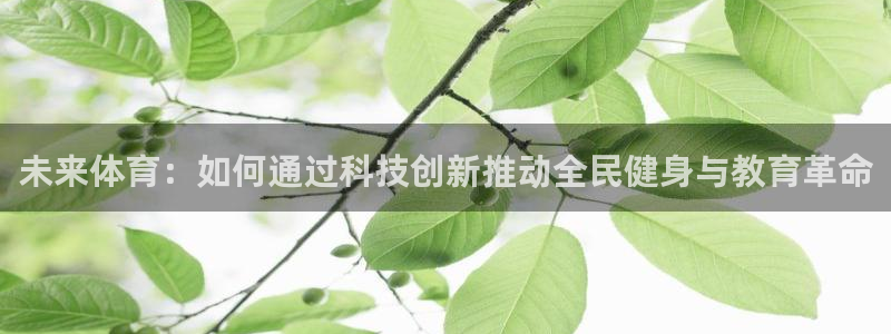 沐鸣2体育平台登录入口