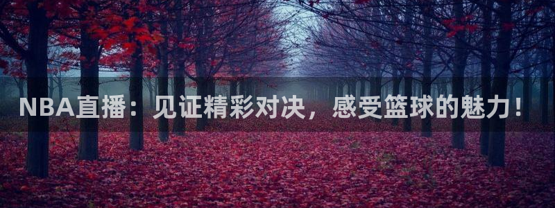 沐鸣